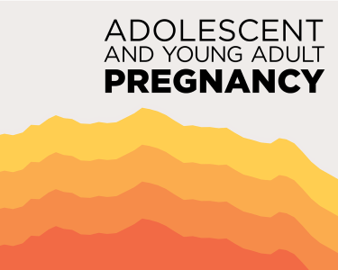 Pregnancies, Births And Abortions Among Adolescents And Young Women In ...